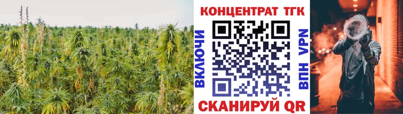 ТГК Wax Купить где Волхов