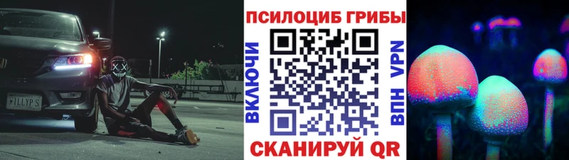 Купить  Волхов  Псилоцибиновые грибы мицелий 