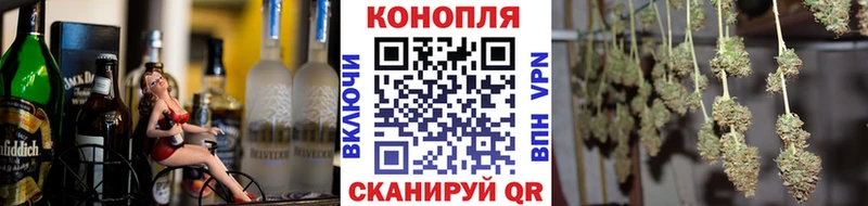 Купить где  Волхов  Канабис индика 